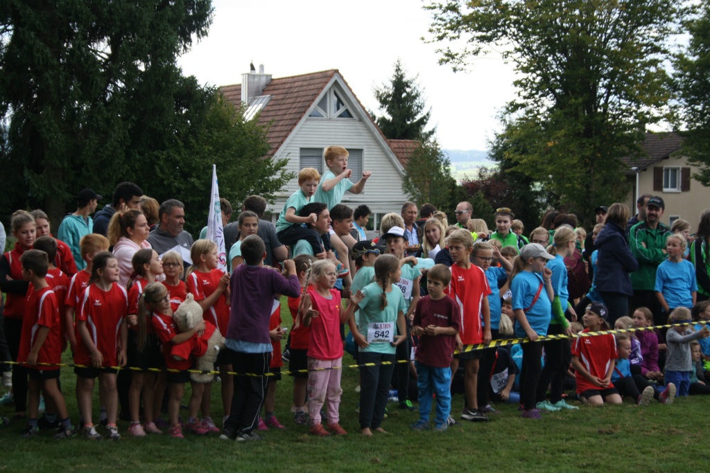Bild 1 (132)